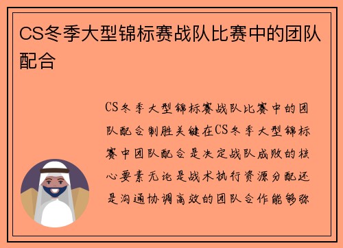 CS冬季大型锦标赛战队比赛中的团队配合