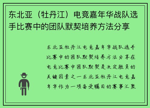 东北亚（牡丹江）电竞嘉年华战队选手比赛中的团队默契培养方法分享
